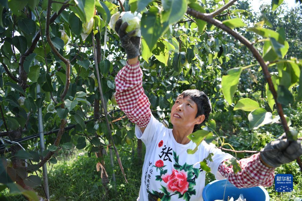 打牌网下载链接