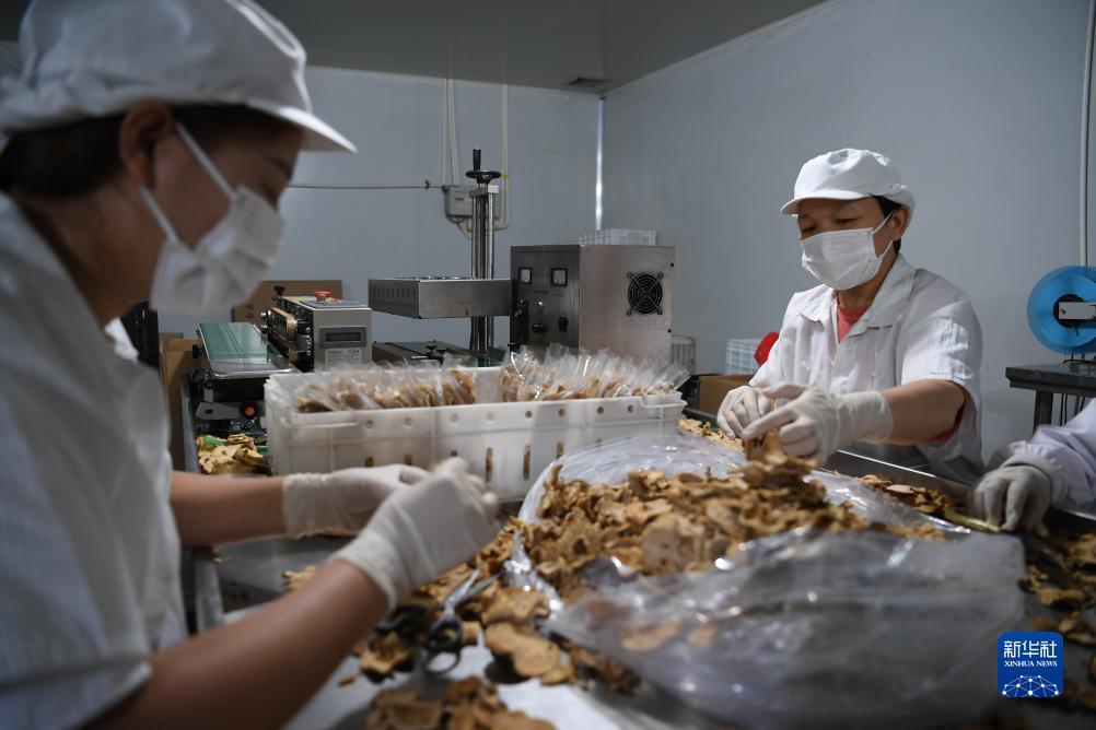 4g棋牌官网